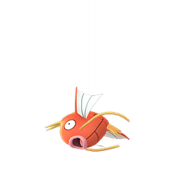 A stupid fish